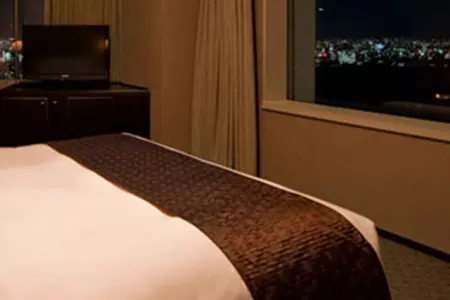 東京世紀南悅酒店套票
