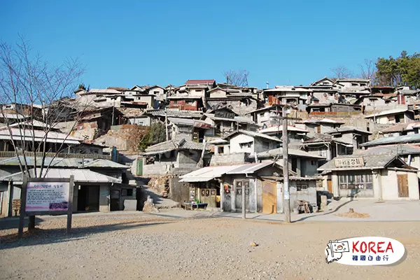 韓國寶城茶園1天體驗之旅