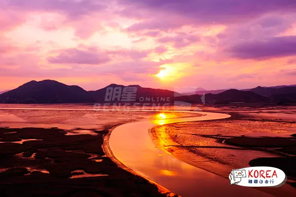 韓國寶城茶園1天體驗之旅