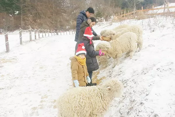 韓國1天瑞士村之旅