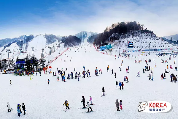 芝山滑雪場體驗之旅