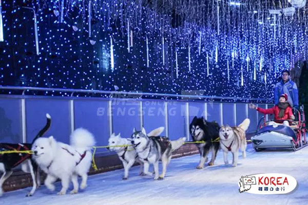 冰雪樂園及水上世界