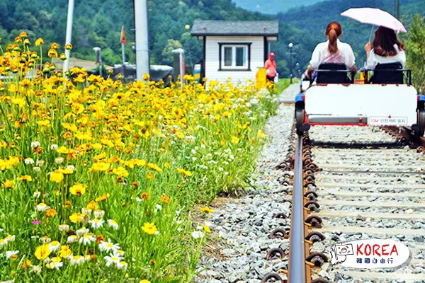 韓國1天京畿道南怡島之旅