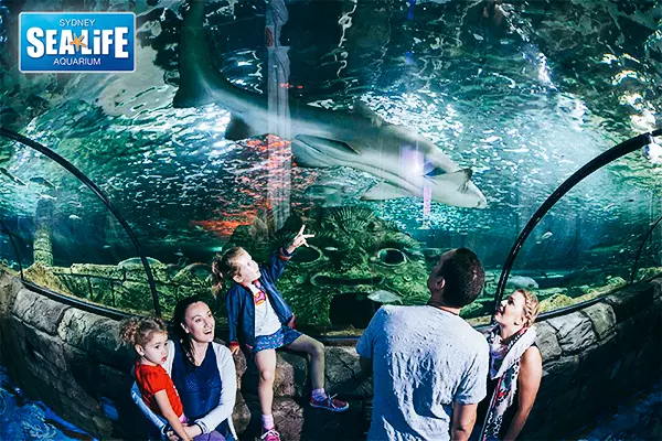 悉尼海洋生物水族館 Sea Life Sydney Aquarium