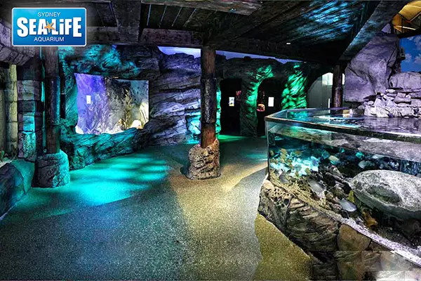 悉尼海洋生物水族館 Sea Life Sydney Aquarium