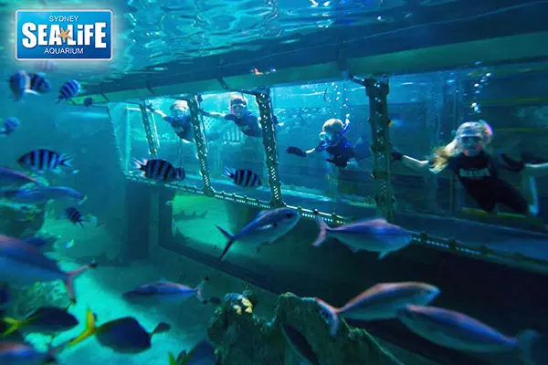 悉尼海洋生物水族館 Sea Life Sydney Aquarium