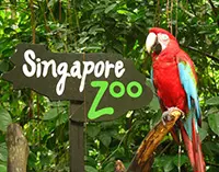 新加坡動物園