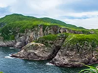 東龍島之旅·鯉魚門海鮮晚宴·夜釣墨魚一天團