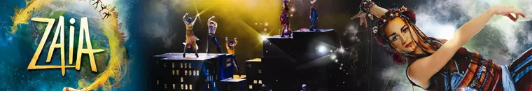 太陽劇團門票優惠 2010