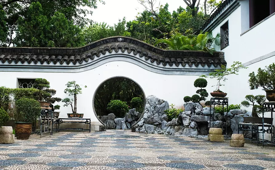【香港本地一天遊】九龍寨城公園、活化工廈、豐膳自助餐  一天遊