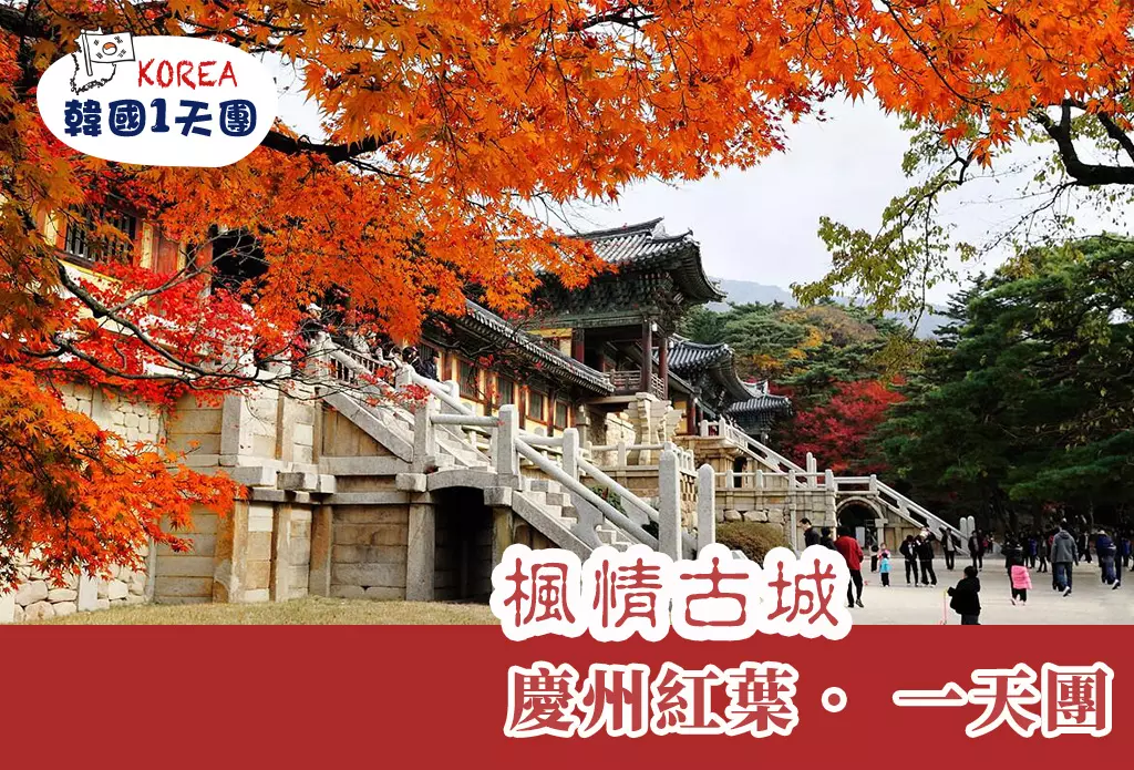 楓情古城·慶州1天團 韓國1天團