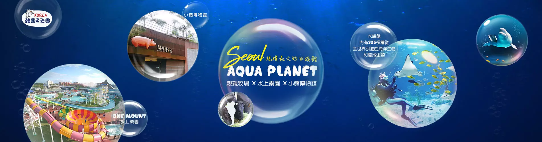 【首爾出發】親親牧場 X 小豬博物館 X 海洋世界 X One Mount 韓國2天團