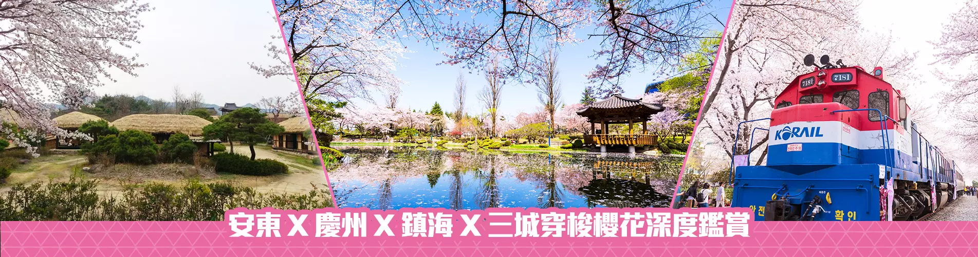 【古都浪漫櫻花戀】安東 X 慶州 X 鎮海 X 三城穿梭櫻花深度鑑賞 兩日遊 (KSS-0203) 首爾出發