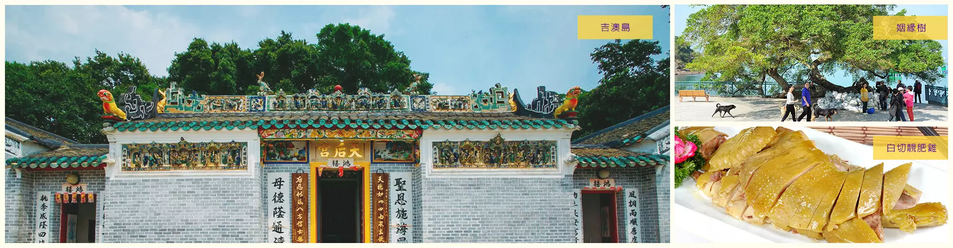 東平洲沉積岩地貌研習之旅