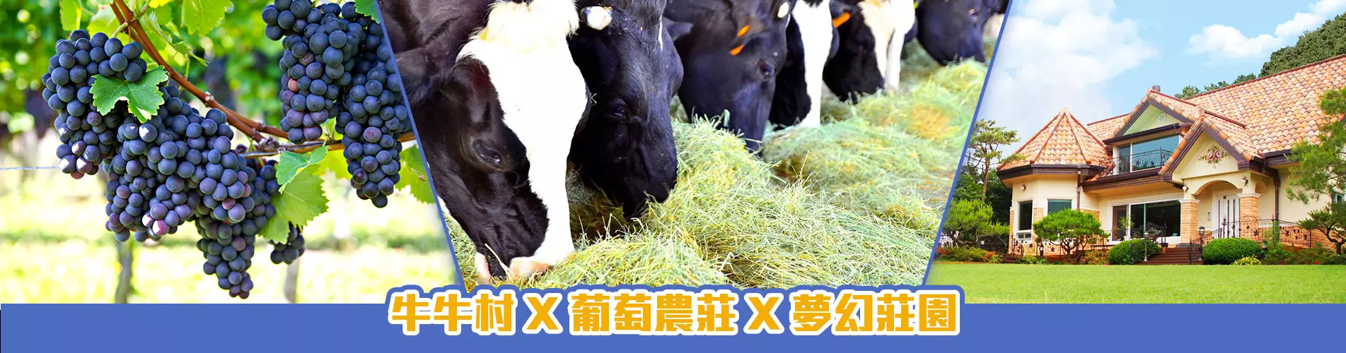 牛牛村 X 葡萄農莊 X 夢幻莊園 1天團 牛牛村 X 葡萄農莊 X 夢幻莊園 1天團