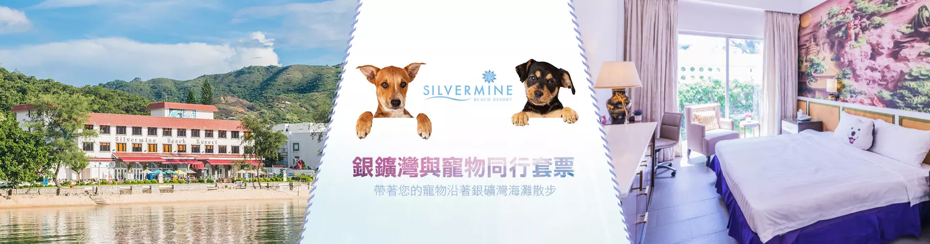 梅窩-銀鑛灣與寵物同行套票 梅窩-銀鑛灣與寵物同行套票