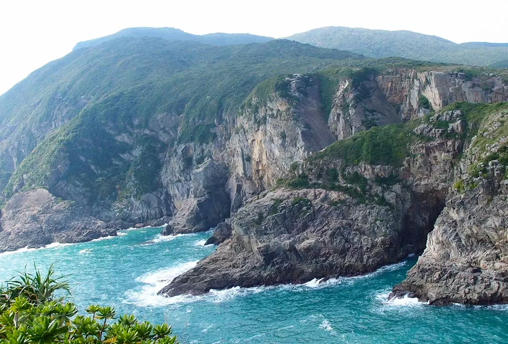 【自然風光】東龍島、東龍石刻、鯉魚門海鮮街、捷流定翼公園、啟德郵輪碼頭、海鮮餐 一天團 (小型悠閒團)