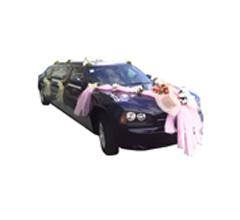 2008 Limo Dodge Charger 70