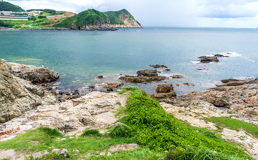 東龍島之旅·鯉魚門海鮮晚宴·夜釣墨魚一天團