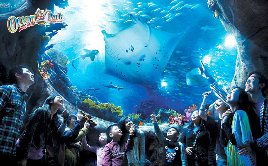香港海洋公園門票連市區巴士