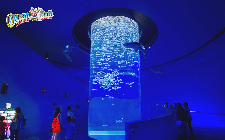 香港海洋公園門票連市區巴士