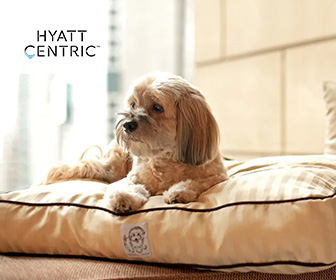 香港維港凱悅尚萃酒店  Hyatt Centric Victoria Harbour Hong Kong