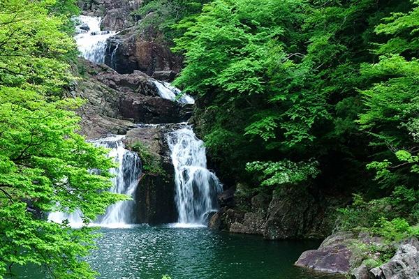 關西&廣島地區鐵路周遊券