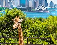 悉尼野生動物園