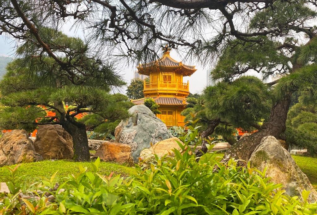 【本地遊】 Big Bus 大巴士 文化藝術導賞團 (連輕便午餐)