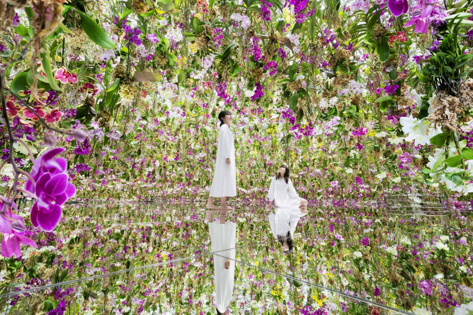 漂浮的花園