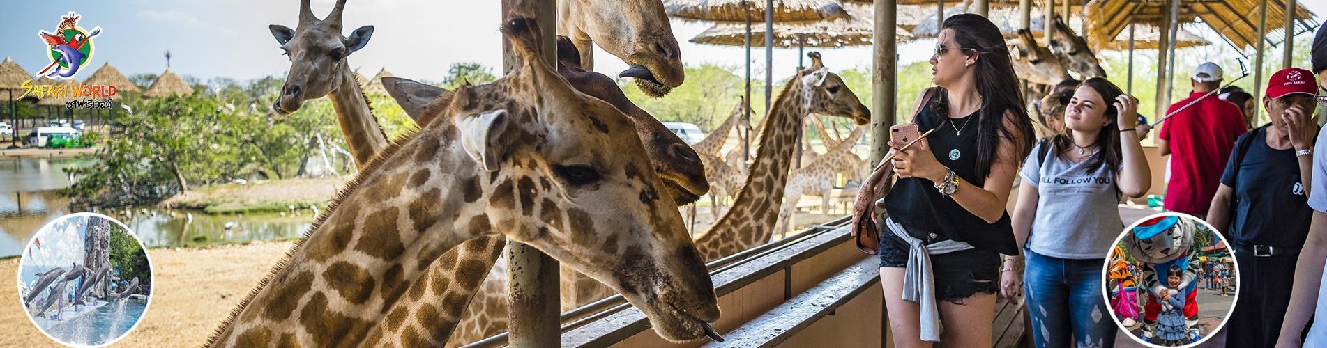 曼谷野生動物園