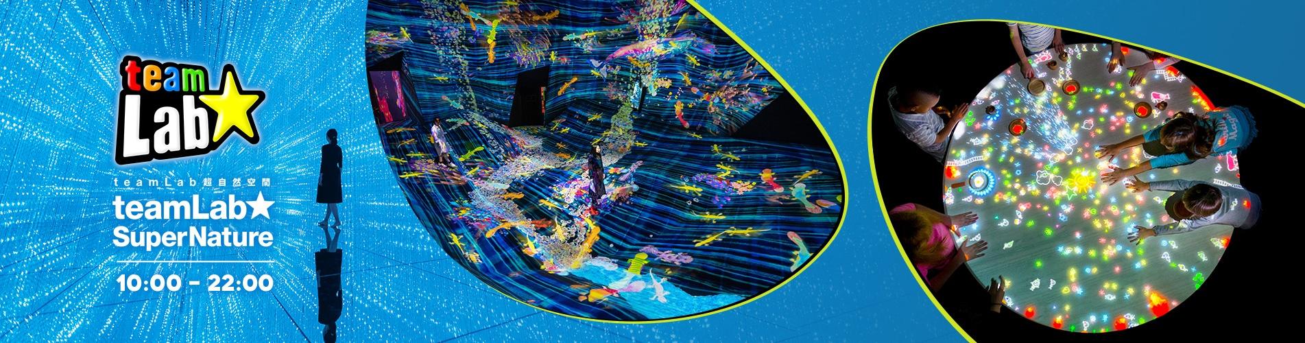 澳門 TeamLab 超自然空間 澳門 TeamLab 超自然空間