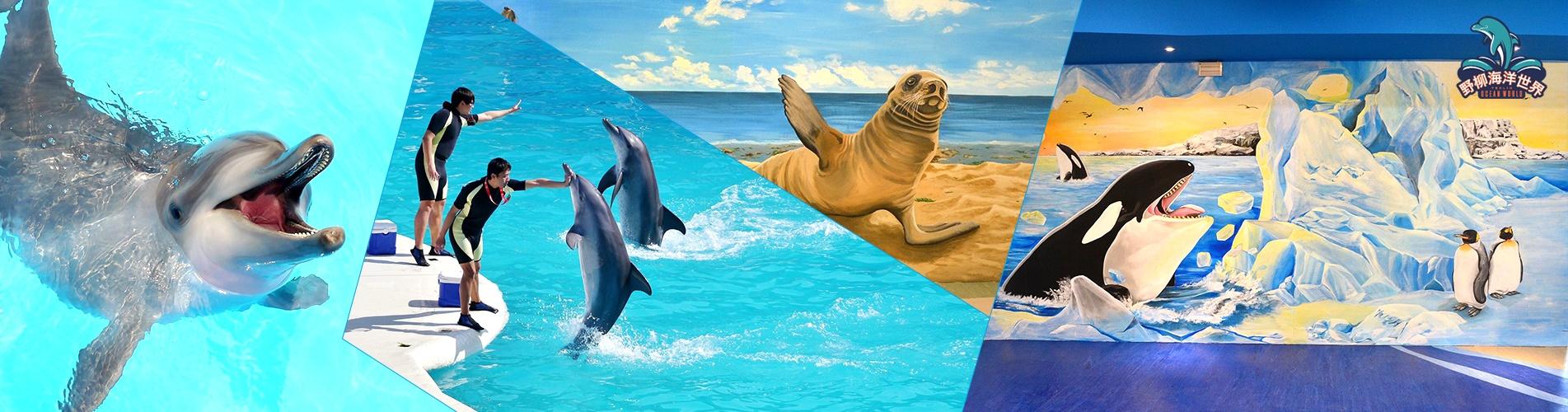 野柳海洋世界 野柳海洋世界
