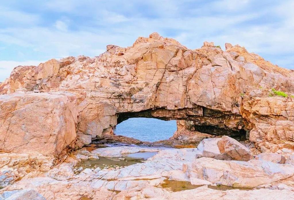 【行山系列】鶴咀海岸保護區、龍堡酒店自助午餐 一天團 (包團)