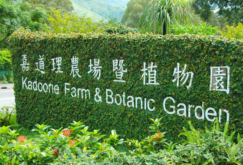 【導賞團】嘉道理農場暨植物園、壽桃牌星級麵館、屯門爬蟲世界 一天遊 (花膠帶子宴) (包團)