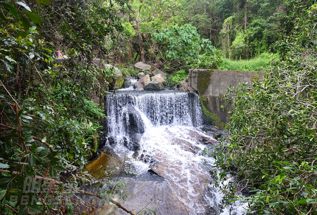 【行山系列】小夏威夷徑、火山探知館、海鮮餐風味宴 一天團  (小型悠閒團)