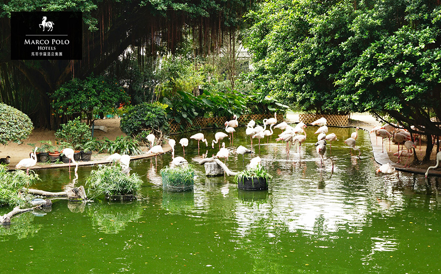 專人帶領導賞九龍公園