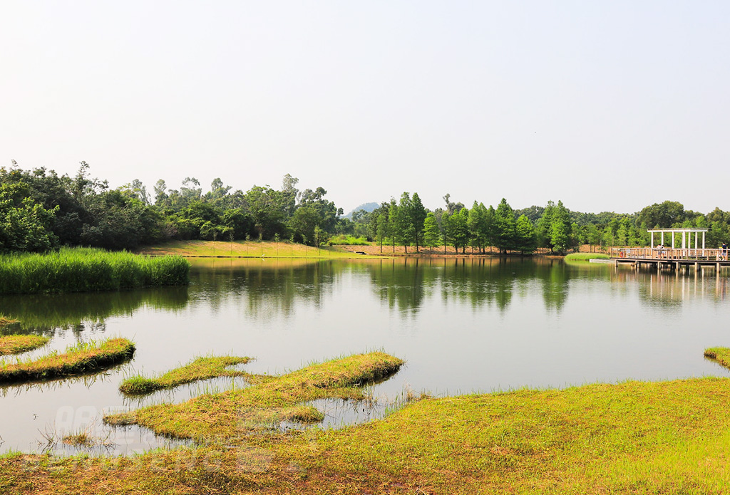 【導賞團】珀麗哥爾夫球會、香港濕地公園、流浮山海鮮餐 一天團 (小型悠閒團)