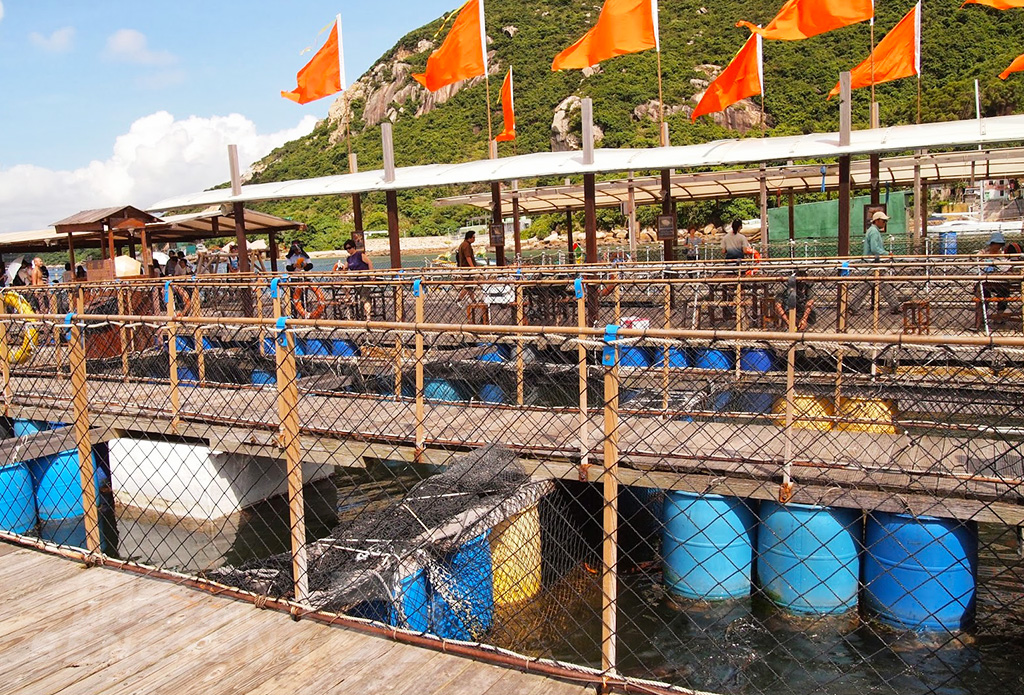 【自然風光】南丫島漁民文化村 (無鈎釣魚樂)、漁村風味宴 一天遊 (包團)