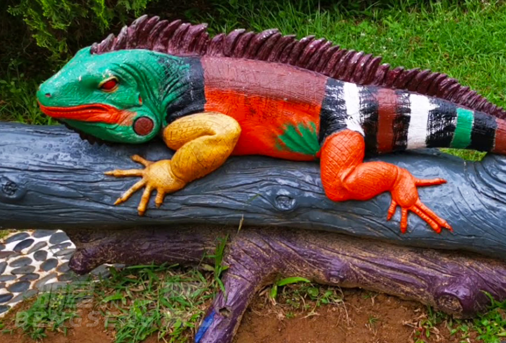 【親子遊】嘉道理農場暨植物園、壽桃牌星級麵館、屯門爬蟲世界 一天團 (小型悠閒團)