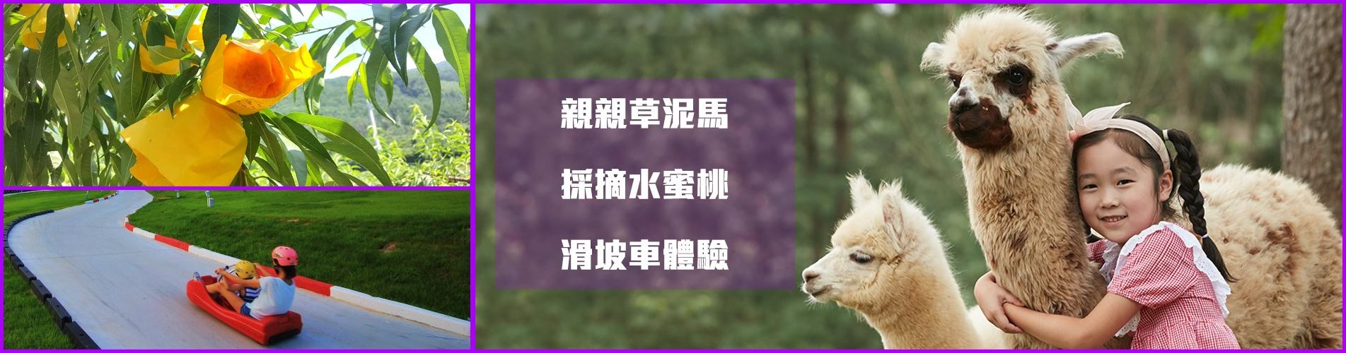 【夏日愛蜜桃】親親草泥馬 X 體驗刺激斜坡滑車 X 採有機水蜜桃一天團 (KSSU-0112)首爾出發 【夏日愛蜜桃】親親草泥馬 X 體驗刺激斜坡滑車 X 採有機水蜜桃一天團 (KSSU-0112)首爾出發